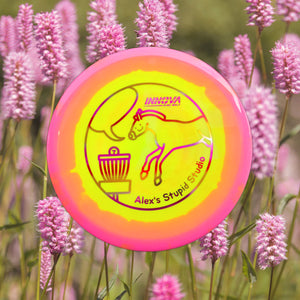 Innova Disc Golf Disc (Midrange)