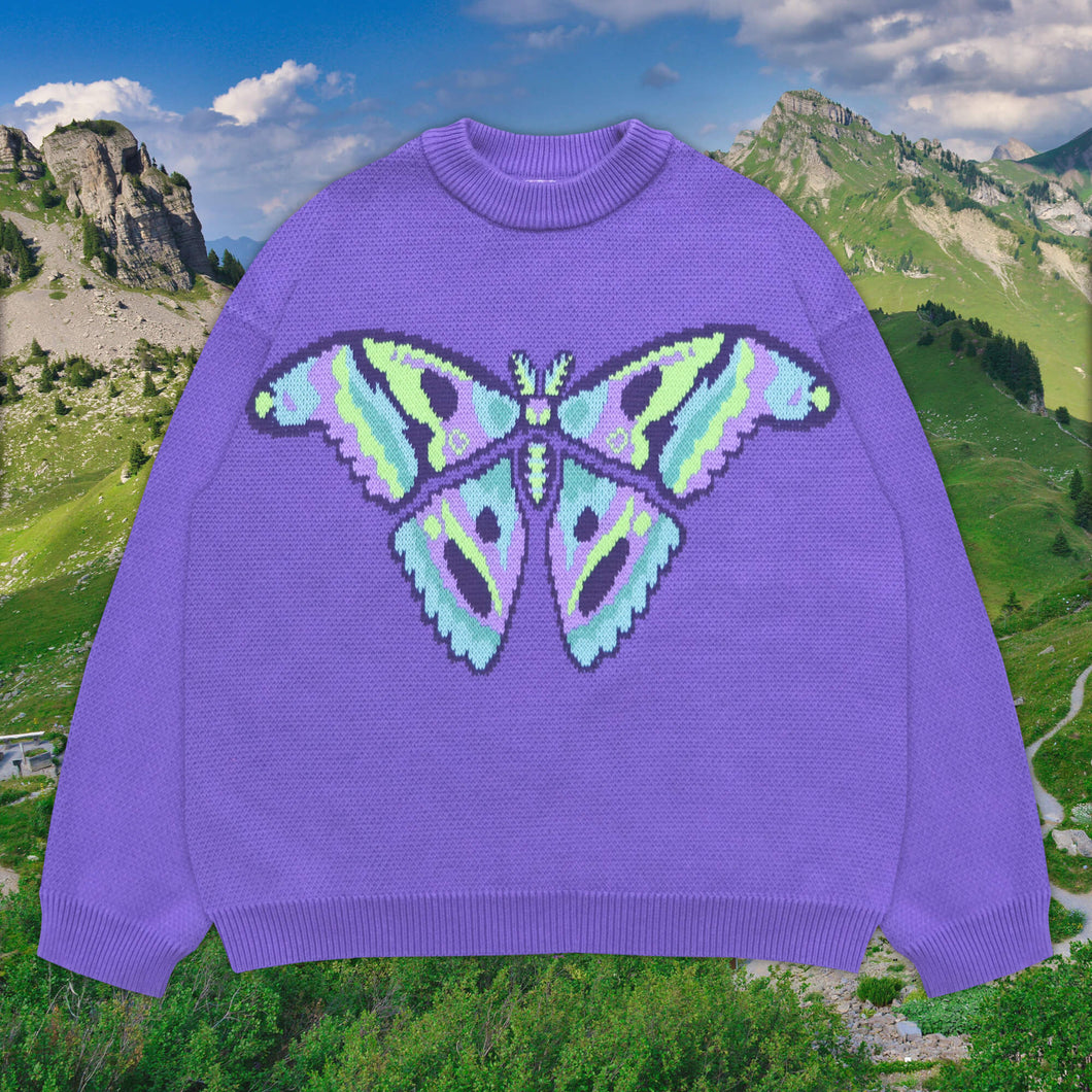 Moth Sweater
