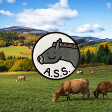 Load image into Gallery viewer, A.S.S. Logo Pin