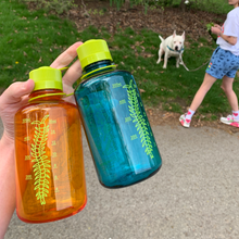 Load image into Gallery viewer, Springtime Water Bottle (cerulean)