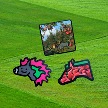 Load image into Gallery viewer, Fruit Air Freshener Pack