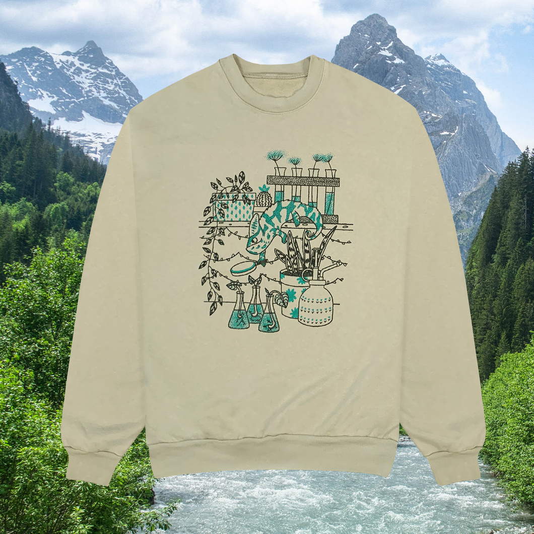Chameleon Crewneck