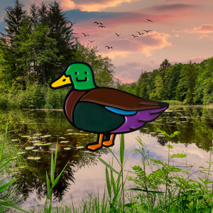 Duck Pin