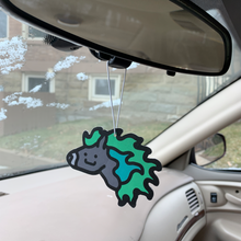 Load image into Gallery viewer, Nature Air Freshener Pack